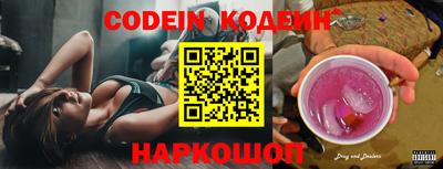 мдпв Кингисепп