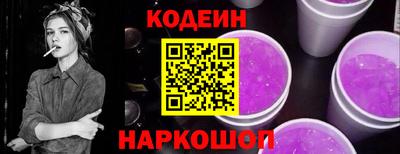 мдпв Кингисепп