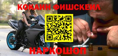 мдпв Кингисепп