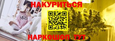 мдпв Кингисепп