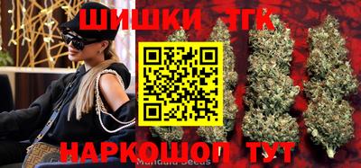 мдпв Кингисепп